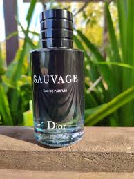 Dior Eau Sauvage EDT 60 ml - Fragancia Elegante