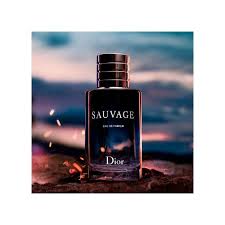 Sauvage de Dior: Eau de Parfum 100ml