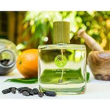 FiiLiT: Perfume Natural SAUDADE AMAZONIA