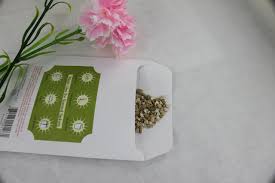 Ambientador Scents Hill para Armario - Pack de 8 (Rosas)