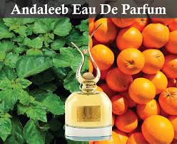 Perfume Andaleeb EDP 100 ml: Fragancia Elegante