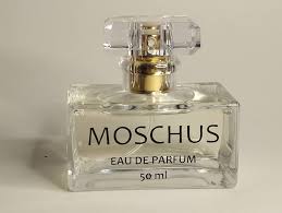 Almizcle Puro: Eau de Parfum Esencial
